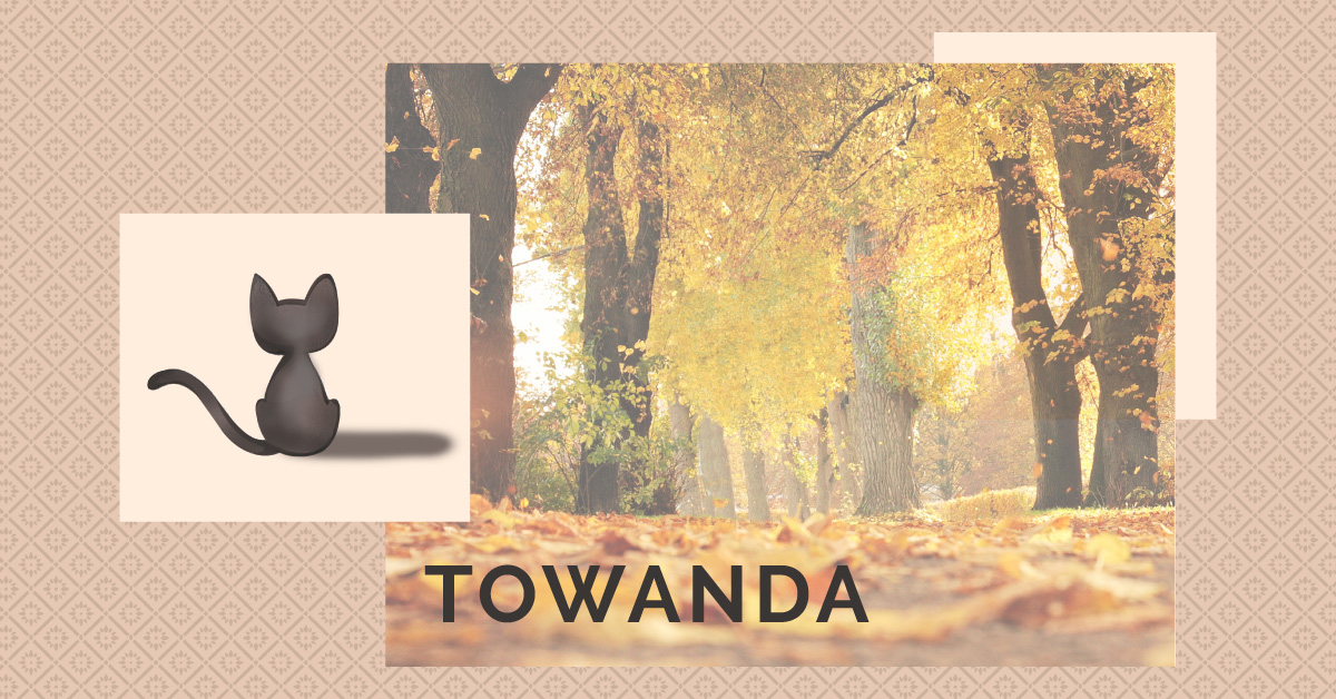 Towanda’s story