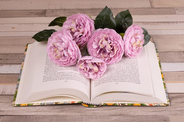 10 Novels By Female Authors That You Just Can’t Miss