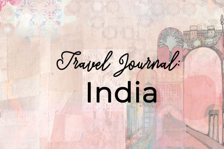 Travel Journal: India (III)